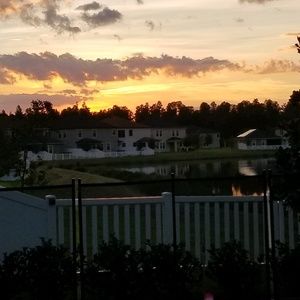 Meet your Posher, Diana